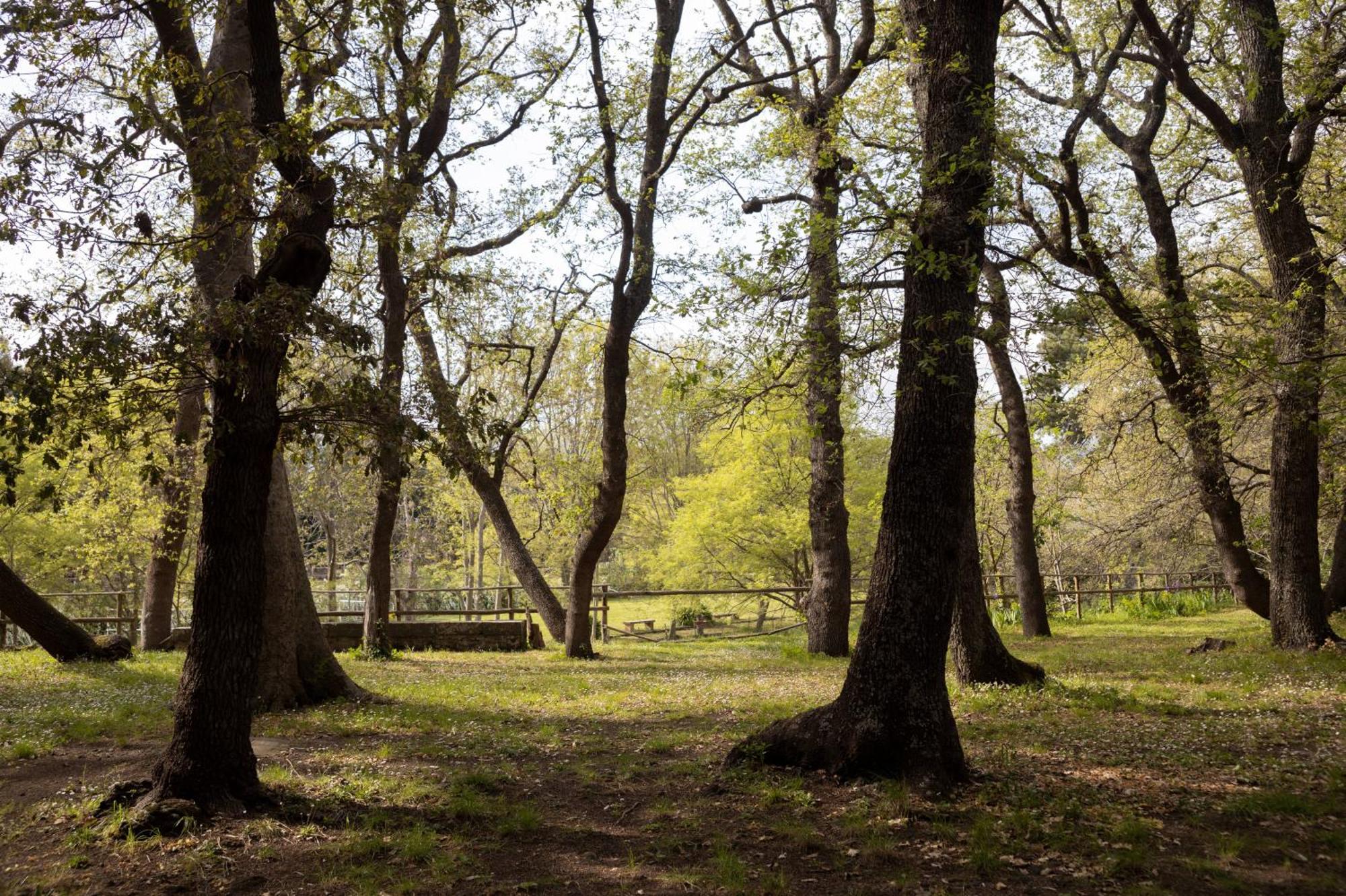 Parco Statella Villa Montelaguardia Eksteriør billede